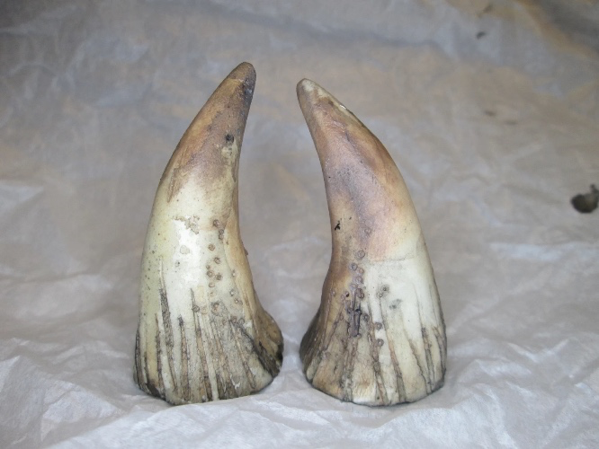 Handmade Tiny Satyr Horns