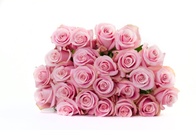 Pink Rose Bouquet - Two Dozen