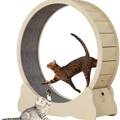 Cat Exercise Wheel, Cat Treadmill with Carpeted Runway and Noiseless Roller, Cat Running Wheel for Pet Loss Weight and Daily Exercise
