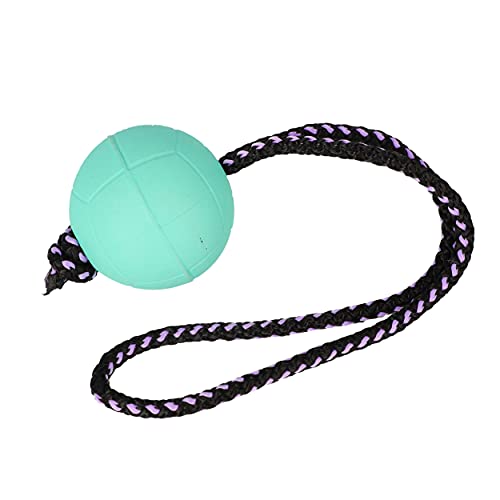 Dog ball 