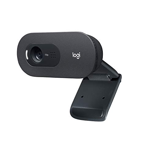Logitech C505 HD Webcam - Streaming Webcam, 720p HD External USB Camera for Desktop or Laptop with Long-Range Microphone, Compatible with PC or Mac - Grey - HD Webcam C505 - Single