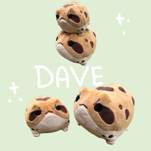 Dave the Angy Desert Rain Frog - 6 Inch Dave