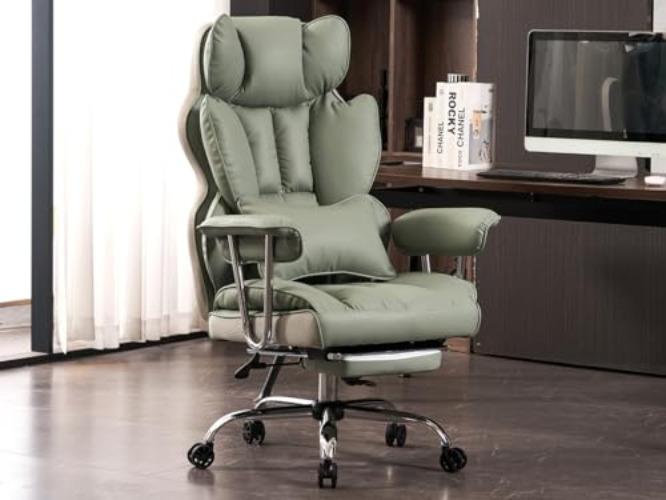 Efomao Desk Office Chair - Light Green