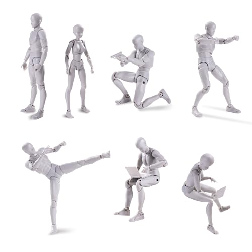 Action Figures Body Kun DX & Body-Chan DX PVC Figure Model Drawing for SHF S H Figuarts (Female+Male) with Box