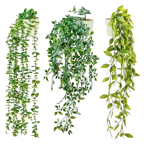 DREAMS 21 3 pack Fake Plants Fake Hanging Plants Artificial Plants Indoor Outdoor | Plants for Room Decor Home decor, Wall Shelf Patio Garden