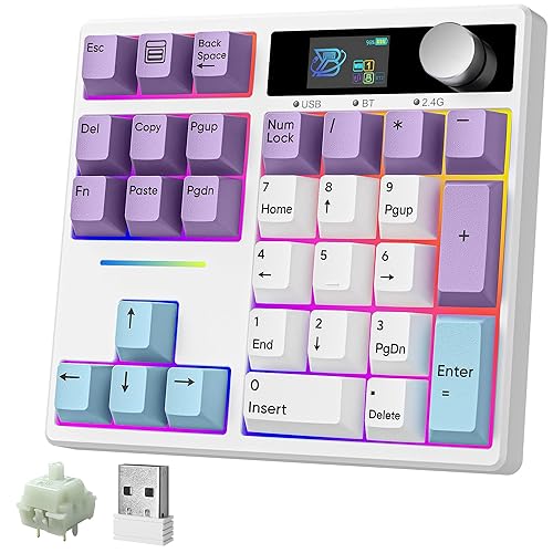 BOYI TD31Pro Mechanical Number Pad,Bluetooth5.0/2.4G/Type-C Wireless Numeric Keypad,RGB HotSwap Numpad with Screen&Knob,PBT Keycap Rechargeable Gasket Number keypad for PC Laptop Desktop(White-Purple) - White-Purple