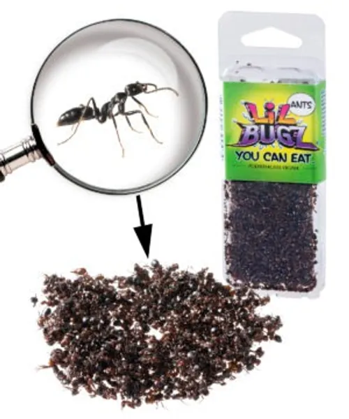 Edible Black Ants: A packet of nothing but black ants. Bon appétit!