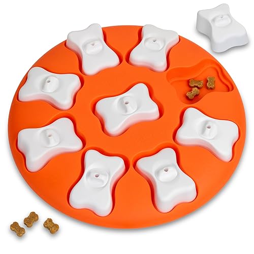 Outward Hound by Nina Ottosson Dog Smart Treat Puzzle Enrichment Toy, Level 1 Beginner, Orange - Dog Smart (Orange)