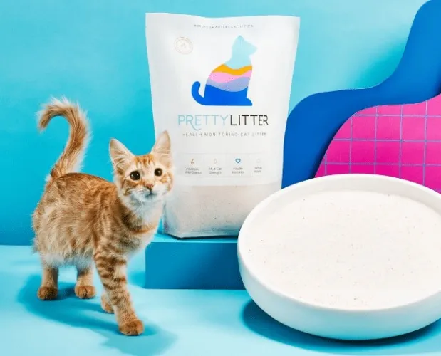 Pretty Litter
