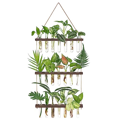 Mkono Plant Propagation Tubes, 3 Tiered Wall Hanging Plant Terrarium with Wooden Stand 21 Test Tube Flower Vase Glass Planter for Hydroponic Plant Cutting Home Garden Office Decor Plant Lover Gift - Large - Brown