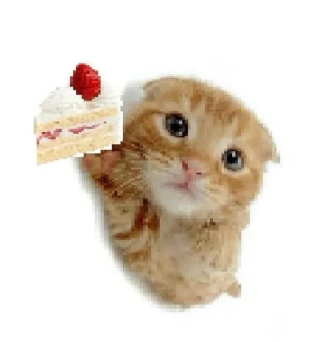 dinner (๑ᵔ⤙ᵔ๑)