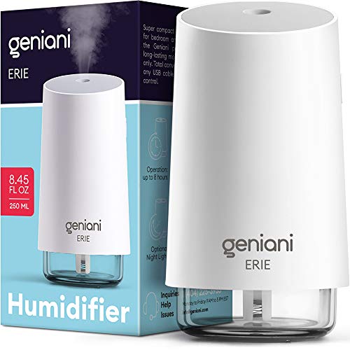 GENIANI Portable Small Cool Mist Humidifiers 250ML - USB Desktop Humidifier for Plants, Office, Car, Baby Room with Auto Shut Off & Night Light - Quiet Mini Humidifier (White) - 250ML - White