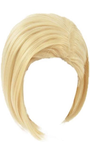 Amazon.com: miccostumes Women's Anime Android 18 Cosplay Wig for Halloween (Blonde) : Clothing, Shoes & Jewelry