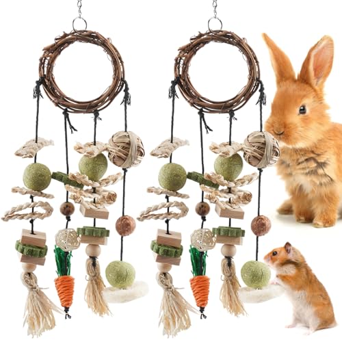 Bissap Bunny Chew Toy, 2 Packs Rabbits Cage Hanging Chew Toys and Treats Rattan Ring with Snacks for Guinea Pigs Chinchillas Hamsters Rats and Other Small Pets Teeth Grinding - 2 Packs