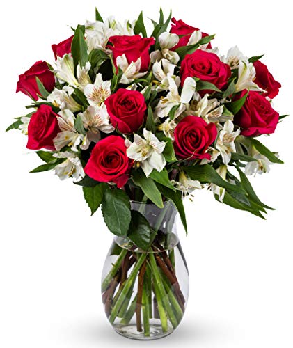 Benchmark Bouquets Signature Roses & Alstroemeria, Prime Delivery, Farm Direct Fresh Cut Flowers, Gift for Anniversary, Birthday, Congratulations, Get Well, Home Décor, Sympathy, Valentine’s Day - Pink/White