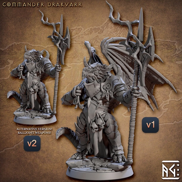 Dragonborn Paladin Warlock Premium DnD Miniatuur Mini