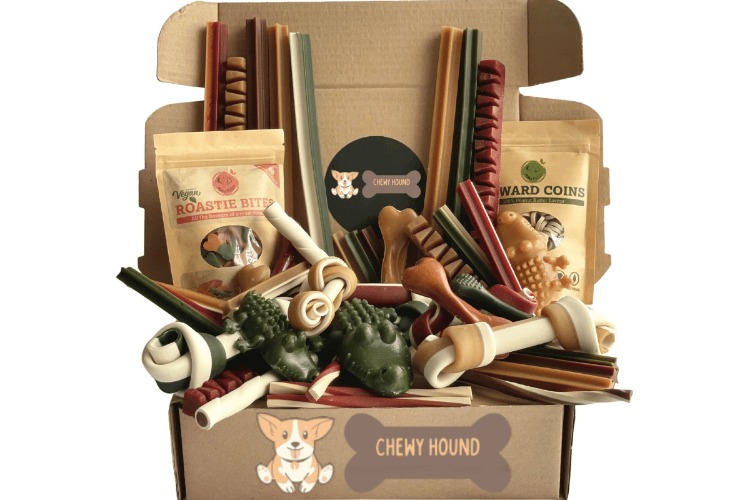 ChewyBox Hypo-allergenic 100 percent natural vegan dog treats | Large dogs (18+ kgs)