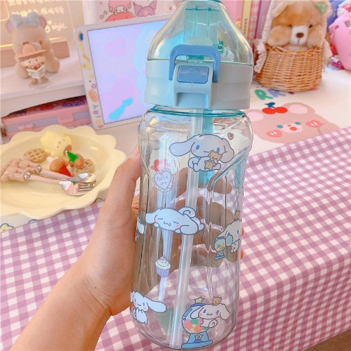 Cinna & Melody Water Bottles - Cinnamoroll