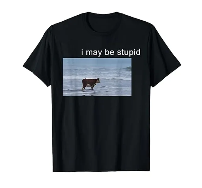 I May Be Stupid Funny Cow Oddly Specific Dank Meme T-Shirt - Women - Royal Blue - 3X-Large