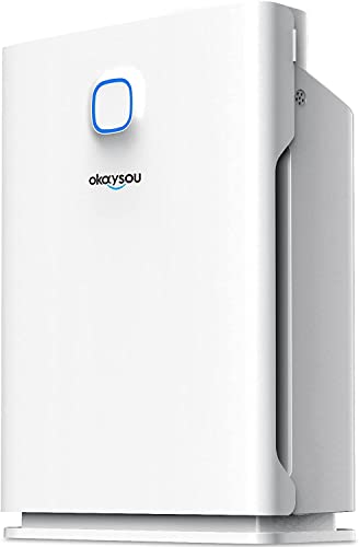Okaysou 4 Filters Smart Air Purifiers for Home Large Room, Covers up to 1000 Sq.Ft, Air Quality Monitor, H13 True HEPA Filter Cleaner with Washable Filter, Remove 99.97% Dust Pollen Smoke Hair Dander Odor, Auto & Echo Mode for Bedroom, AirMax10L Pro - 1,000 Sq Ft