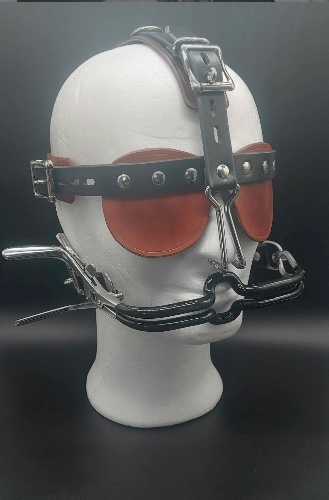 Restrained Head Harness