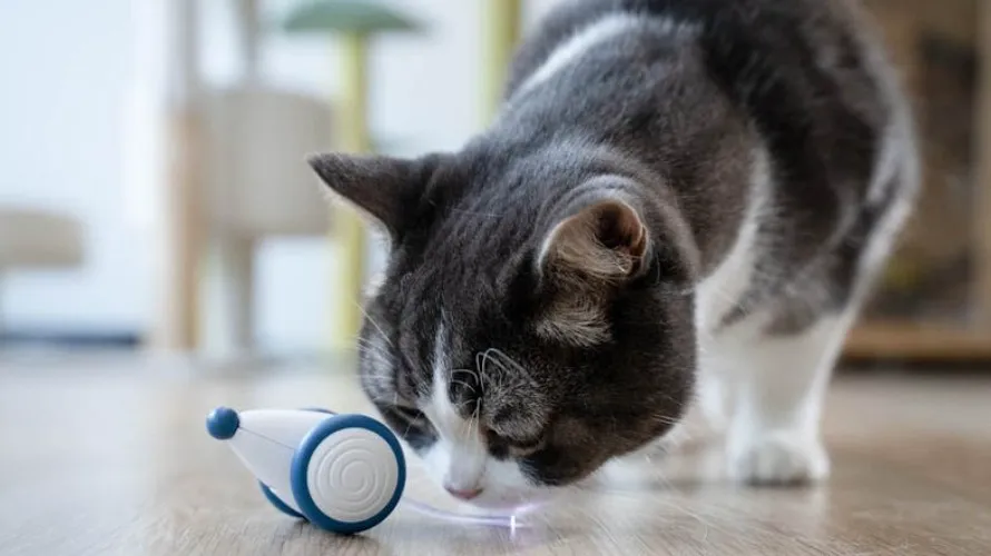 Cheerble Wicked Mouse Pet Toy - Blue