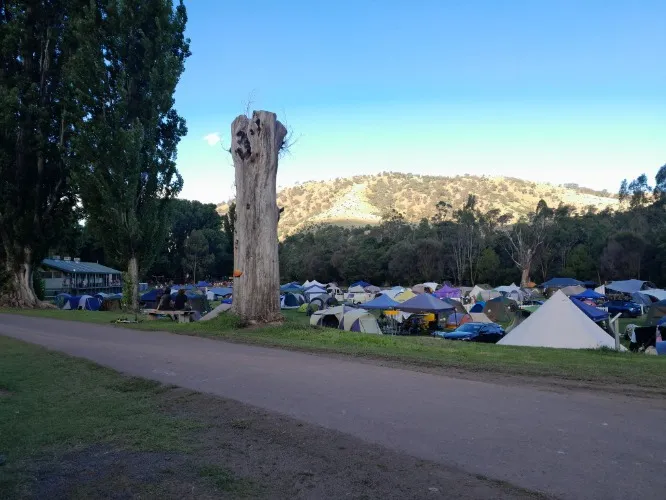 Lifestyle/Arts FESTIVAL