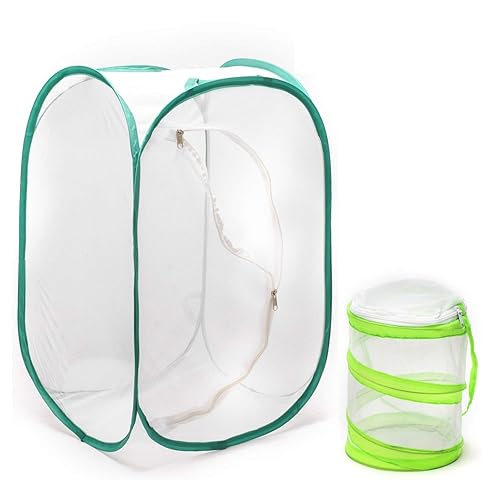 Rngeo Insect and Butterfly Habitat Cage (Pack of 2)