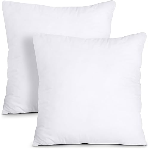 Utopia Bedding Throw Pillows (Pack of 2, White) - 20 x 20 Inches Bed and Couch Pillows - Indoor Decorative Pillows - 20x20 Inch