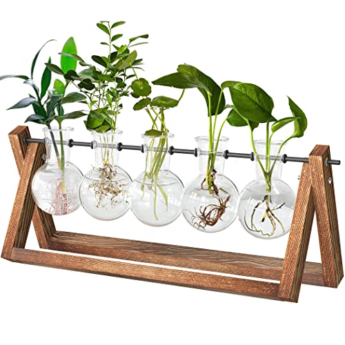 CFMOUR Plant Terrarium with Wooden Stand, Desktop Propagation Station Glass Air Planter Metal Swivel Holder for Indoor Live Hydroponics Plants Office Home Garden Decor (5 Bulb Vase) - Medium