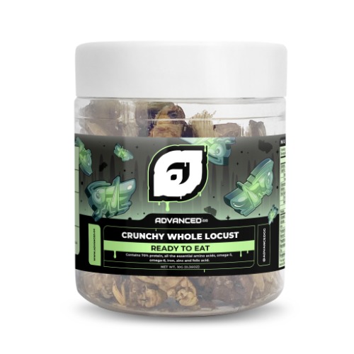 Crunchy Whole Locust