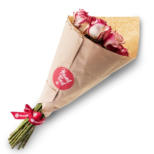 Bloomsy M - Month to Month