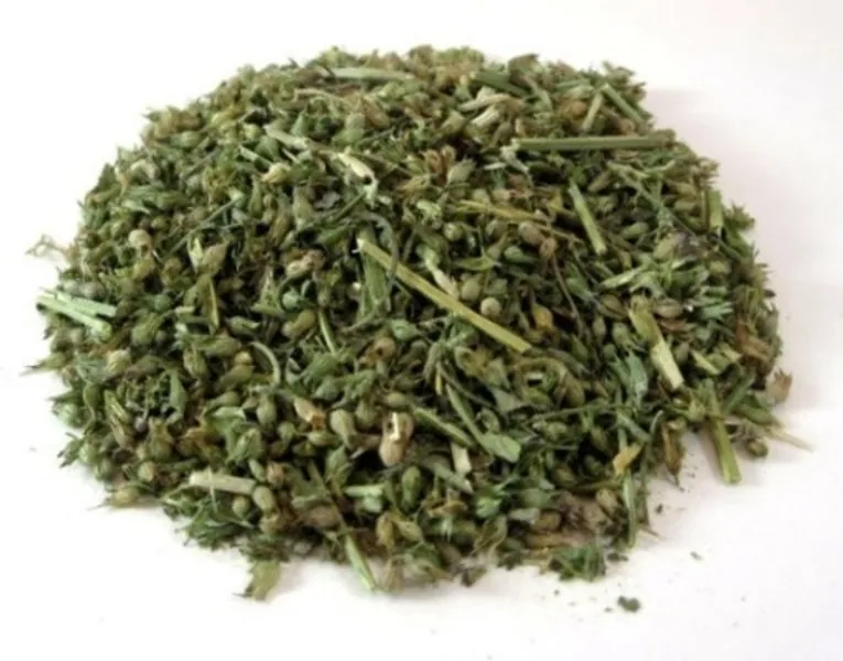 Catnip Leaf Organic Dried  Nepeta Cataria  Premium | Etsy