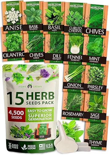 HOME GROWN 15 Culinary Herb Seeds - Heirloom & Non GMO - High Germination Rate - Seeds for Planting Indoor Hydroponic or Outdoor Garden | Gardening Gift Men Women Gardeners Basil, Cilantro, Mint - 15 Herb