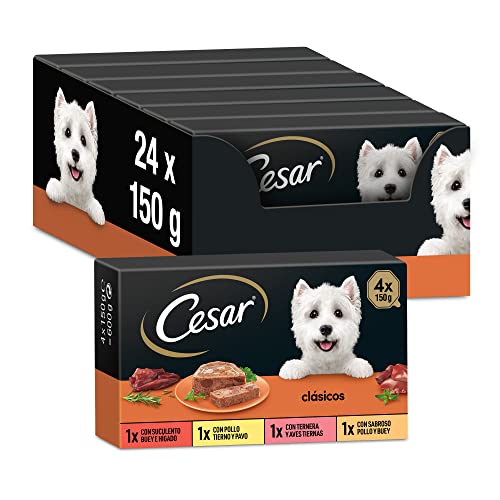 Cesar Dog Food Pack of 24