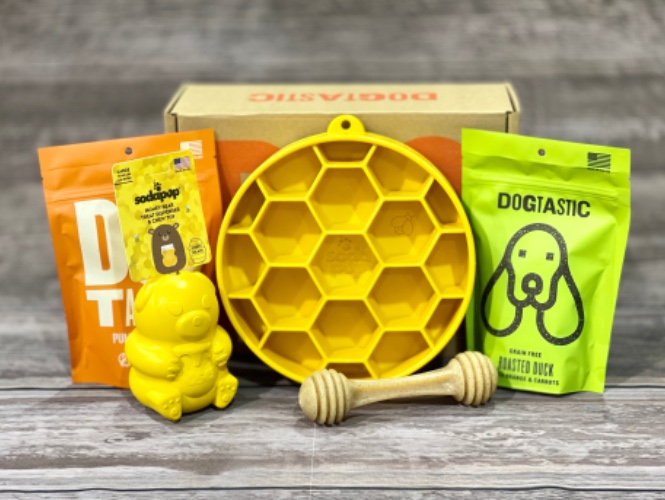 Honeycomb Bowl Bundle Box for Chewing and Enrichment - Large