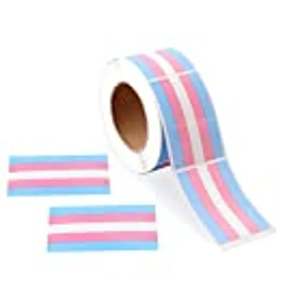 Transgender Rainbow Rectangle Shaped Stickers for Gay Pride, Lesbian Pride, Transgender Pride, LGBTQ Awareness - Rainbow Stripe Flag Stickers - Great for Fundraising Events and Marches (1 Roll - 250 Stickers)