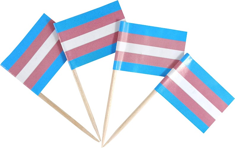 200 mini trans flags