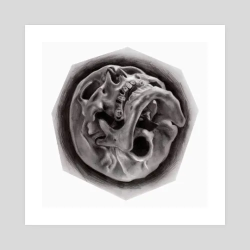 Inertia's Decsent  by Amy  Wise