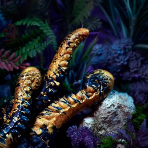 Néa Rêveruche | Taille 4 / Ventouse / Boîte Fera Daemon