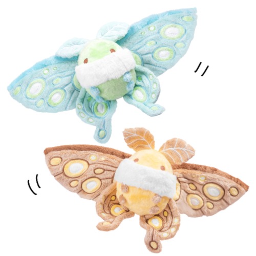 Sky and Terra the Fairy Moths | Sky the Teal Fairy Moth