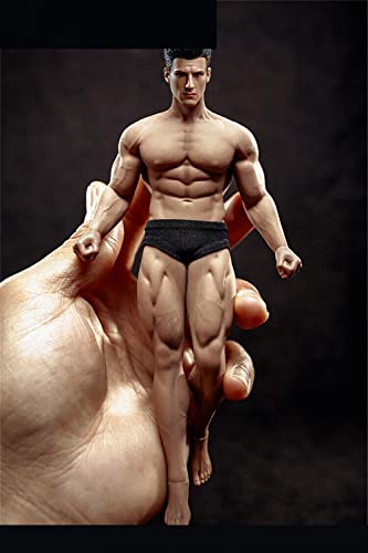 1/12 Scale Action Figure,6inch Male/Female Super-Flexible Seamless Body Doll Toy Collection (TM02A Strong Male Action Figure) - Tm02a Strong Male Action Figure