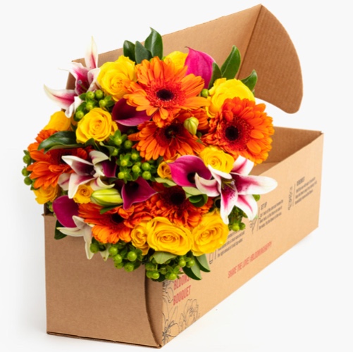 Bloomsy Premium - Month to Month