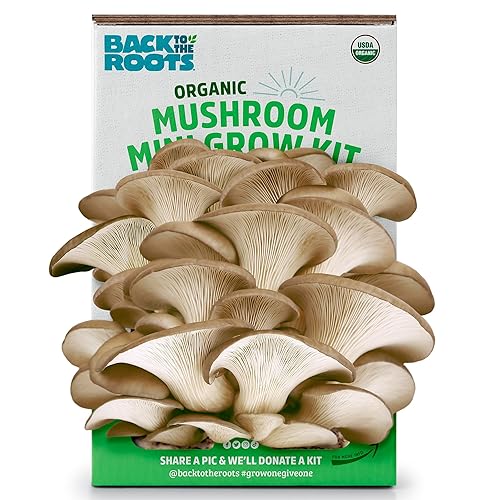 Back to the Roots Organic Mini Mushroom Grow Kit, Harvest Gourmet Oyster Mushrooms In 10 days, Top Gardening Gift, Holiday Gift, & Unique Gift - Mini