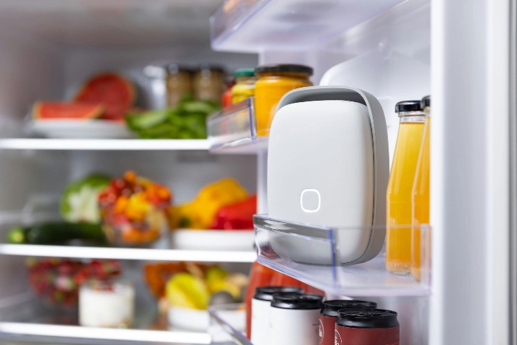 Shelfy: Fridge Purifier | Vitesy