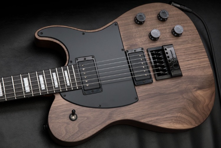 2023 Fusion Walnut EverTune 6 | PRE-ORDER | Standard & Baritone