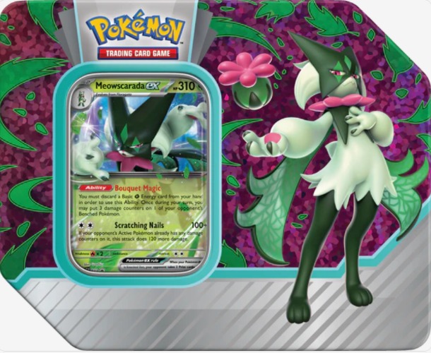 Pokemon Paldea Partners Tin - Quaquaval