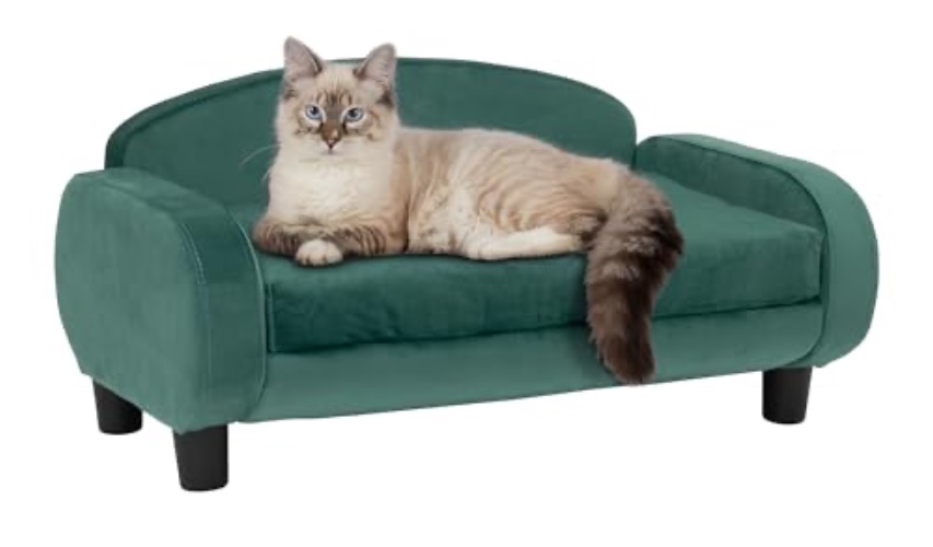 Paws & Purrs Modern Pet Sofa 31.5" Wide Low Back Lounging Bed with Removable Mattress Cover in Espresso/Teal - Pet Sofa - Espresso / Teal