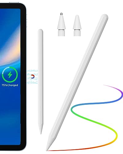 Stylus for iPad Pencil 2nd Generation - Replacement for Apple Pencil 2nd Generation Wireless Charging, Pencil for iPad Pen for iPad Pro 11" 1/2/3/4, iPad Pro 12.9" 3/4/5/6, iPad Air 4/5, iPad Mini 6 - Class White