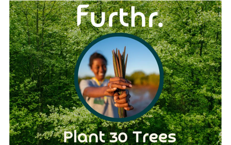 Plant 30 Trees £15 Gift Card